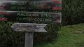 SAM_0594