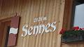 SAM_0602