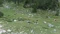 SAM_0616