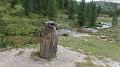 SAM_0665