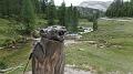 SAM_0666