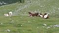 SAM_0687