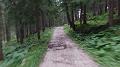 SAM_0696