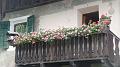 SAM_0727