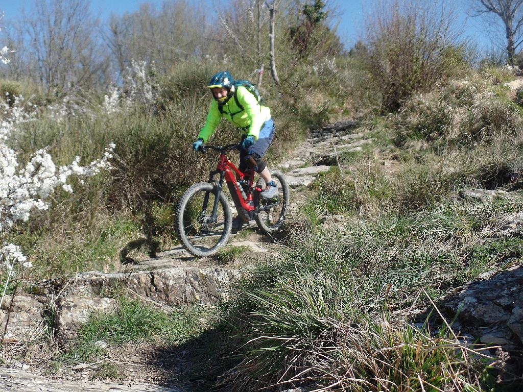 SAM_2617.jpg - SAMSUNG CAMERA PICTURES