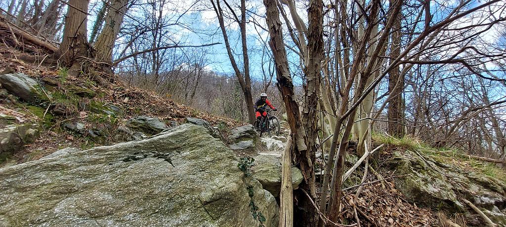 20210323_101845.jpg