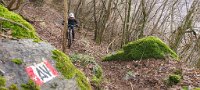 20210129_114054.jpg