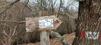 20210129_120354.jpg