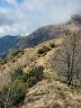 20210129_121358.jpg