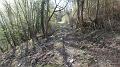 SAM_2484