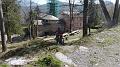 SAM_2495