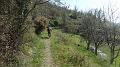 SAM_2517