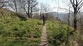 SAM_2519