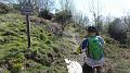 SAM_2524