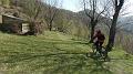 SAM_2527