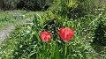 SAM_2540