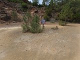 SAM_0080.JPG