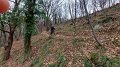 IMG-20230115-WA0036