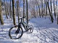 IMG-20230120-WA0008