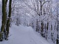 IMG-20230120-WA0013