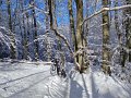 IMG-20230120-WA0015