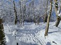 IMG-20230120-WA0016