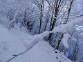 IMG-20230120-WA0028