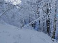 IMG-20230120-WA0030