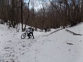 SAM_5561