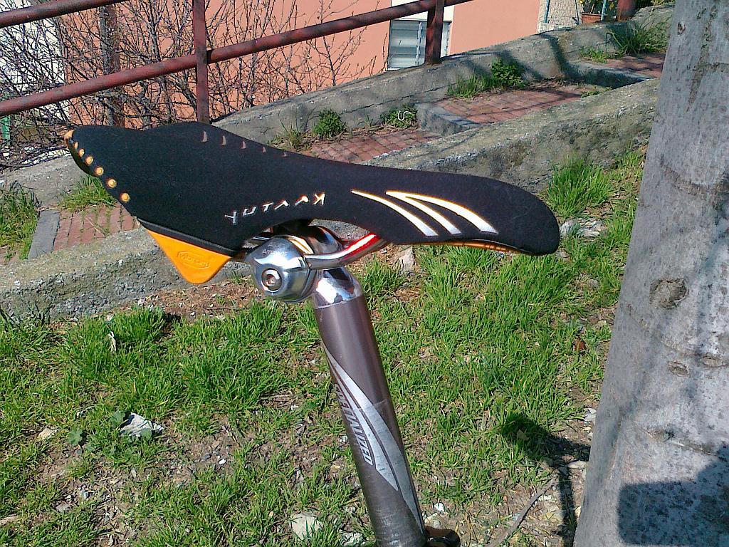 22032011239.jpg