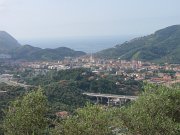 P6130055